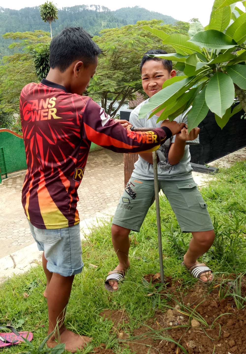 Halopacitan/Anita Bidaryati